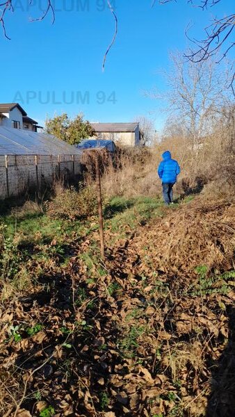 Teren 700 mp de vanzare in Jilava